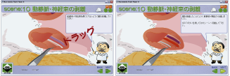 sen10.png