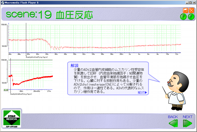 sn19-04+.png