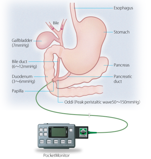 E-gmms-oddi-08.png