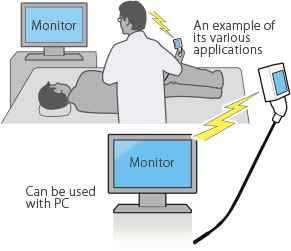 e-st_ano-opt03.png