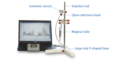 e-gj_mms-100m-pc.png